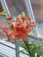 Foto: Dr. Peter Müller